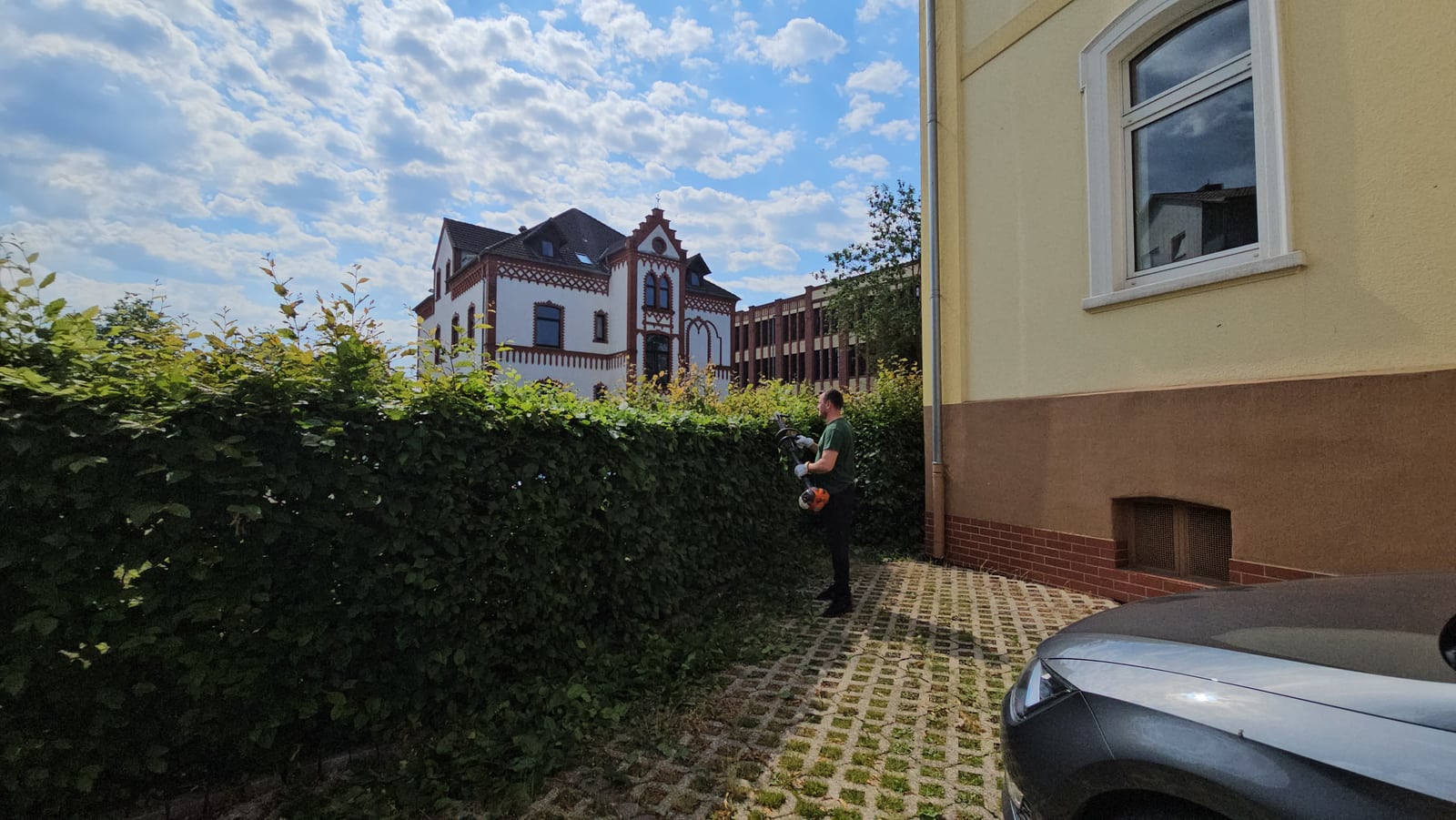 Heckenpflege am Grundstück