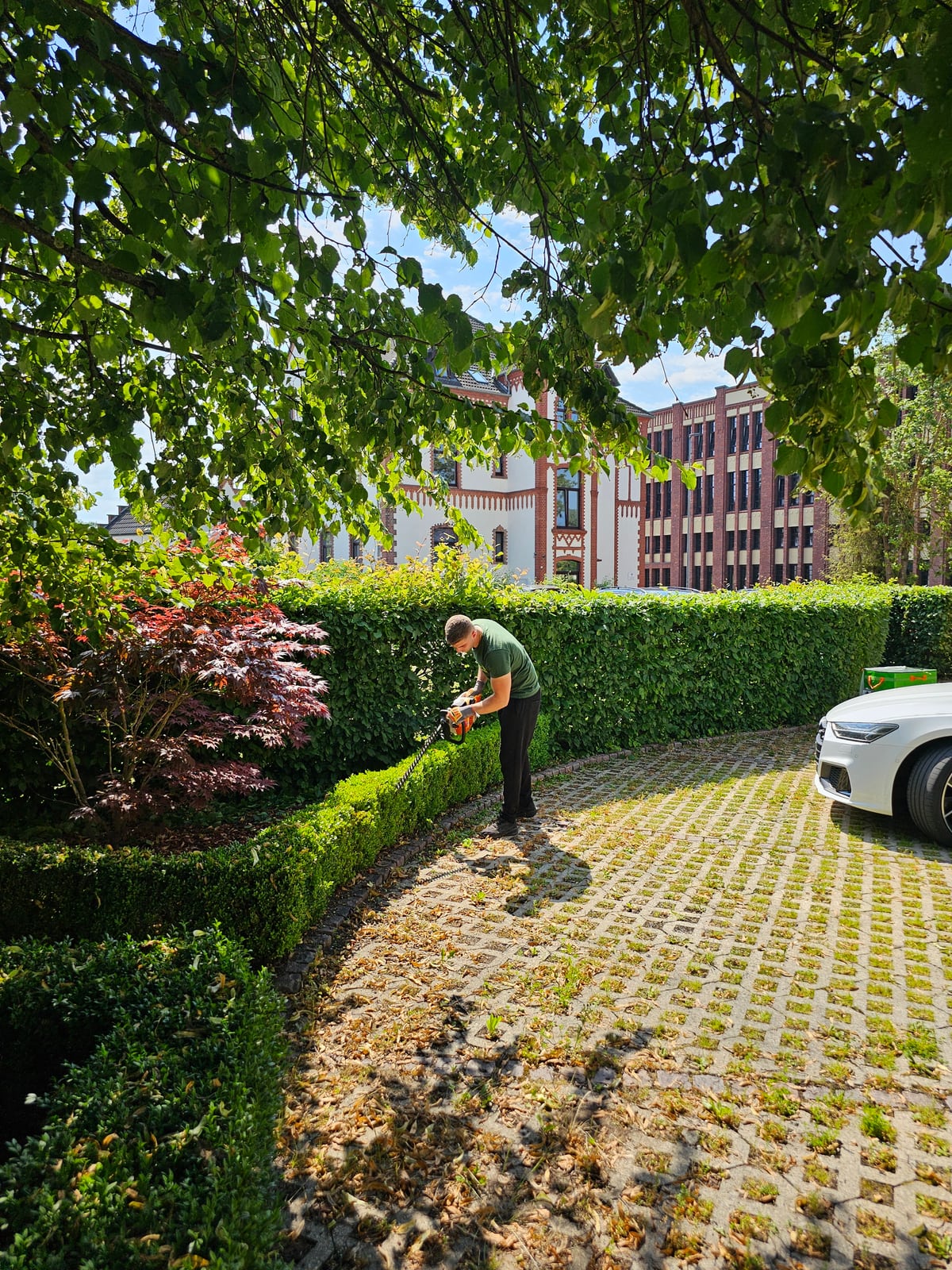 Formschnitt im Garten